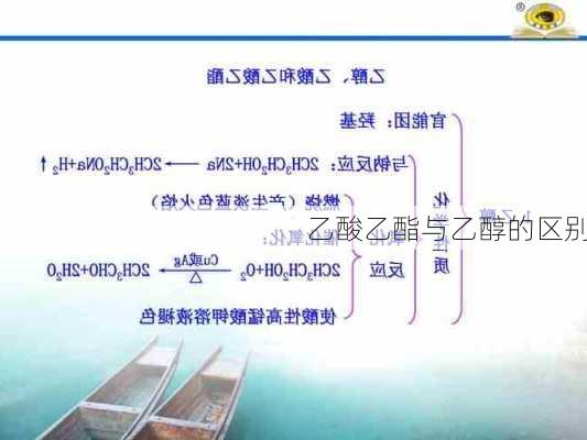 乙酸乙酯与乙醇的区别