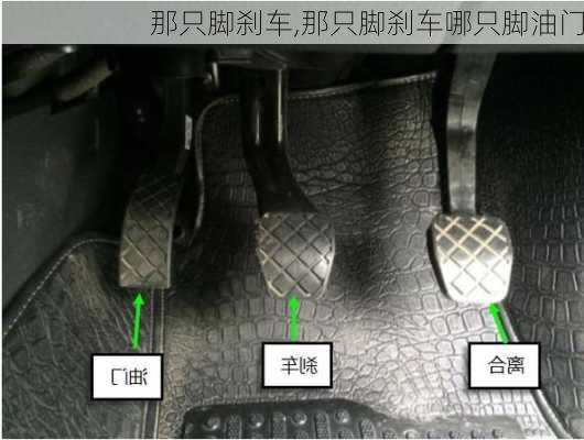 那只脚刹车,那只脚刹车哪只脚油门