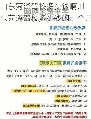 山东菏泽驾校多少钱啊,山东菏泽驾校多少钱啊一个月